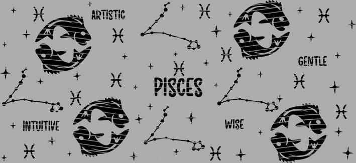 16oz Constellation-CI-268